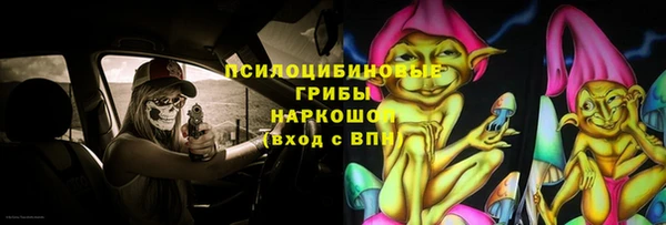ПСИЛОЦИБИНОВЫЕ ГРИБЫ Волосово