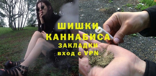 ПСИЛОЦИБИНОВЫЕ ГРИБЫ Волосово