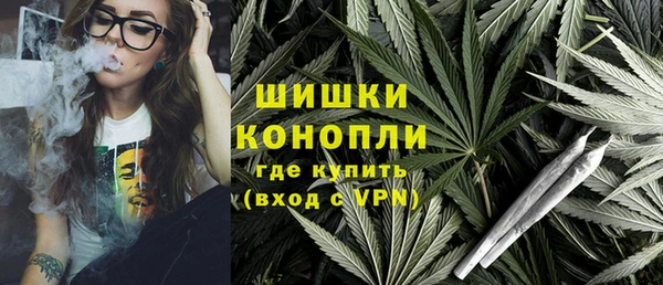 прущая мука Вяземский